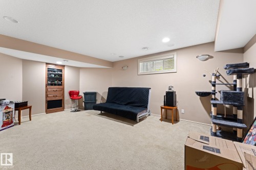 5519 209 Street Nw, Edmonton, AB - Indoor Photo Showing Basement
