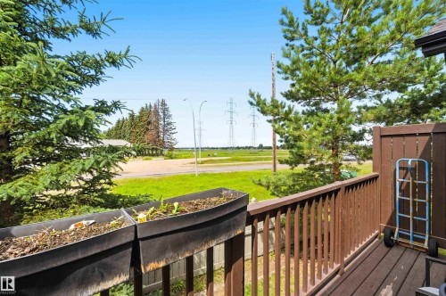 Private balcony featuring wood-finish decking and railing, with surrounding mature evergreen trees - 24 6520 2 Avenue, Edmonton, AB 