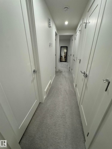 Hallway featuring light gray carpeting, white walls, and multiple panel doors with contemporary hardware - 8551 81 Avenue, Edmonton, AB 