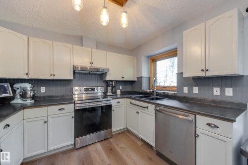 4810 42 Street, Beaumont, AB - Indoor Photo Showing Kitchen With Double Sink