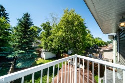 Balcony with white railing overlooking mature trees and a fenced yard - 