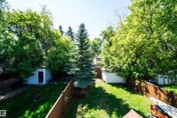 Expansive fenced backyard featuring a manicured lawn, mature trees, and a detached shed - 