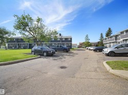 Paved parking area with concrete curbing, bordered by grassy sections and mature trees - 