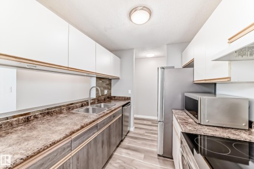 306 2508 50 Street, Edmonton, AB - Indoor Photo Showing Kitchen With Double Sink