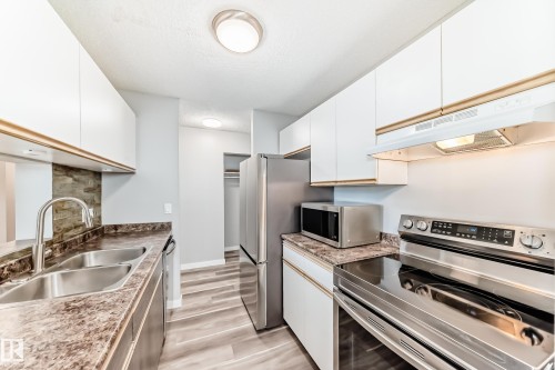 306 2508 50 Street, Edmonton, AB - Indoor Photo Showing Kitchen With Double Sink