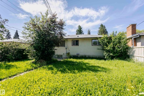Expansive backyard featuring a lush lawn, mature trees, and a concrete pathway - 11440 44A Avenue, Edmonton, AB 