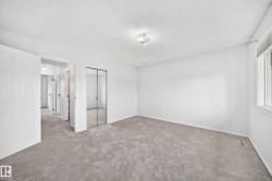 Room featuring neutral carpeting, white walls, a large window, a ceiling light fixture, and mirrored closet doors - 