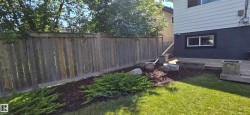 Expansive green lawn with a wood privacy fence - 