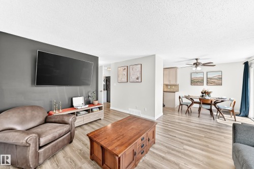 4228 114 Avenue Nw, Edmonton, AB - Indoor Photo Showing Living Room