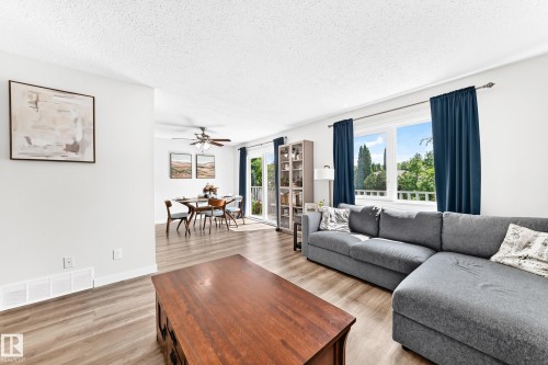 4228 114 Avenue Nw, Edmonton, AB - Indoor Photo Showing Living Room