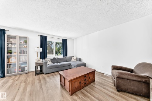 4228 114 Avenue Nw, Edmonton, AB - Indoor Photo Showing Living Room