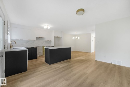 10216 150 Street Nw, Edmonton, AB - Indoor Photo Showing Kitchen With Upgraded Kitchen