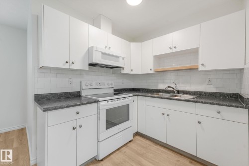 10216 150 Street Nw, Edmonton, AB - Indoor Photo Showing Kitchen With Double Sink