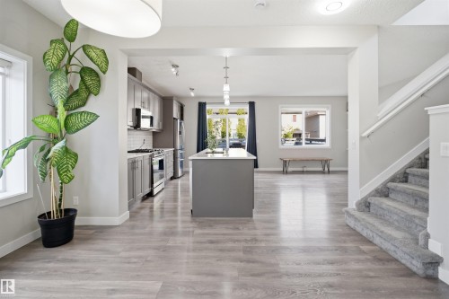 Open-concept main level featuring wood-finish flooring, a contemporary kitchen with stainless steel appliances, a central island with pendant lighting, and a carpeted staircase - 1234 Daniels Crescent, Edmonton, AB - Indoor