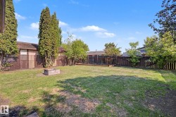 Spacious grassy yard featuring mature trees, a wood privacy fence, and an integrated fire pit constructed from concrete blocks - 