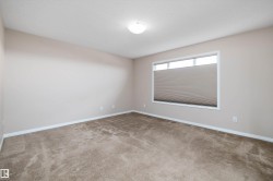 Neutral-toned walls complement the textured carpet flooring - 