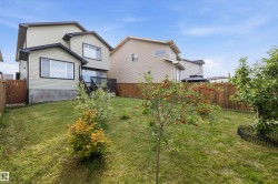 Expansive backyard featuring a manicured lawn, established shrubs, and mature trees with fruit - 