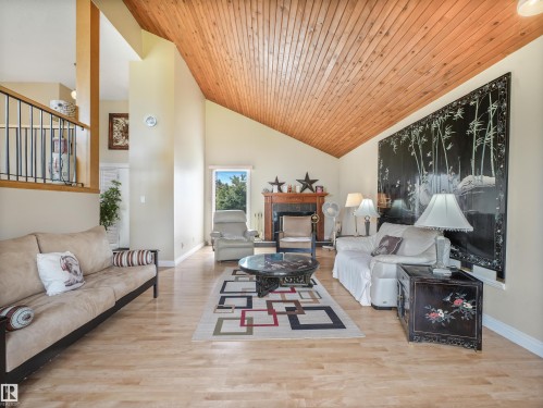 3219 85 Street Nw, Edmonton, AB - Indoor Photo Showing Living Room With Fireplace