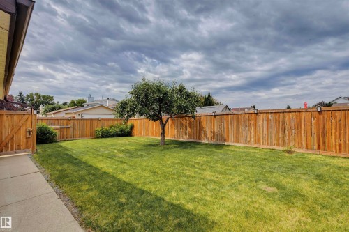 Expansive lawn area featuring a mature central tree, a wooden privacy fence, a wooden side gate, and perimeter shrubs - 9315 168 Avenue Nw, Edmonton, AB 