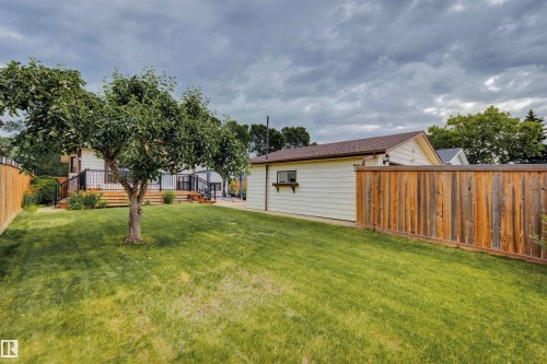 Spacious backyard featuring a substantial tree and a broad lawn - 9315 168 Avenue Nw, Edmonton, AB 