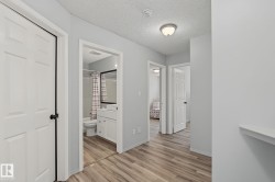 Hallway featuring wood-finish flooring, light grey painted walls, and white trim - 