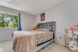 Spacious bedroom featuring light-colored walls and soft carpet flooring - 