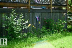 storage area under the front deck - 