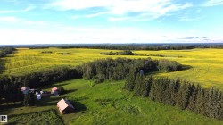 Expansive rural property featuring a primary residence with detached  garage, red barn, and several sheds - 