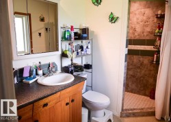 Bathroom featuring a wood-finish vanity with a dark countertop and an oval undermount sink, a mirrored medicine cabinet, a toilet, and a walk-in shower with tile walls and a hexagonal tile floor - 