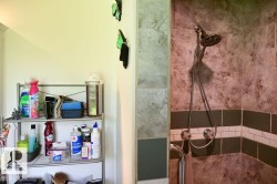 Shower stall featuring large format tile in a warm neutral tone, accented by dark green rectangular tiles and a white subway tile border - 
