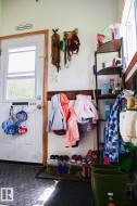 Entryway landing to upper level or lower level back door - 