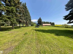Expansive grassy grounds featuring mature evergreen trees and a distant outbuilding - 