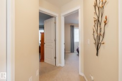 Neutral-toned hallway featuring carpet flooring, white trim, and two paneled doors opening into separate rooms - 