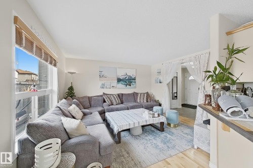 Spacious living area featuring light wood-finish flooring, ample natural light from large windows with blinds, a light-toned ceiling, and white wall finishes - 3120 25 Avenue, Edmonton, AB 