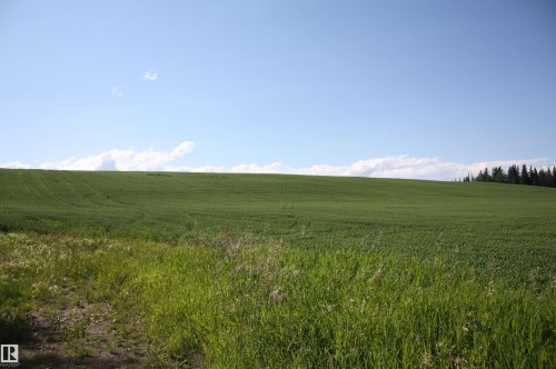 Expansive green fields under a clear blue sky, featuring a distant treeline - Rr202 Twp583, Rural Thorhild County, AB 