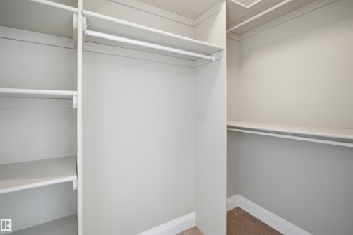 Walk-in closet featuring multiple shelving units, hanging rods, light gray walls, white trim, and a carpeted floor - 16807 54 Street, Edmonton, AB - Indoor With Storage