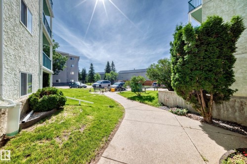 Concrete pathway winding through a grassy area, bordered by established landscaping and a multi-level building with balconies - #208 9619 174 St Nw, Edmonton, AB 