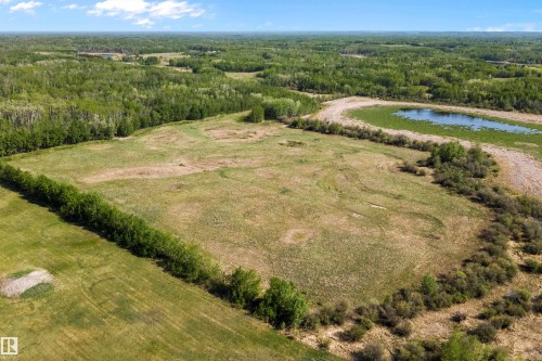 Expansive land parcel featuring a large grassy field, bordered by a dense tree line - 53257 Rge Road 211, Rural Strathcona County, AB - Outdoor With View