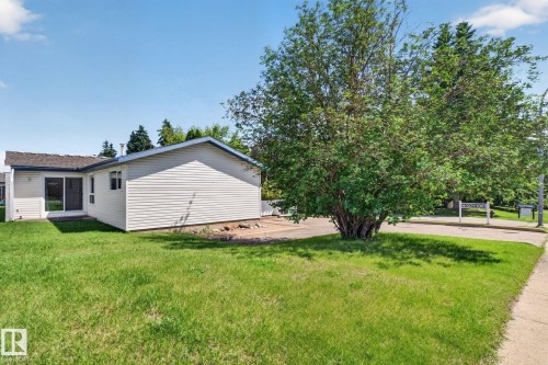 Expansive side yard featuring a large mature tree and lush green lawn - 1071 Millbourne Road Nw, Edmonton, AB 