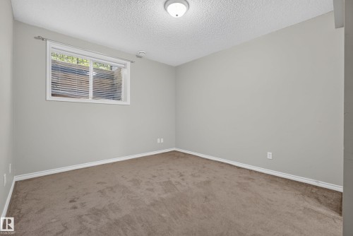 Light gray painted walls with white trim and a neutral carpeted floor create a versatile interior - #113 3010 33 Av Nw, Edmonton, AB 