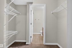 Walk-in closet with wire shelving and brown carpet flooring - 