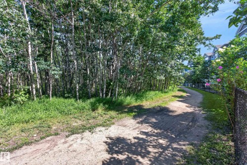 Natural green space with mature trees, a dirt path, and adjacent residential structures - #113 3010 33 Av Nw, Edmonton, AB 