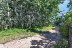 Natural green space with mature trees, a dirt path, and adjacent residential structures - 