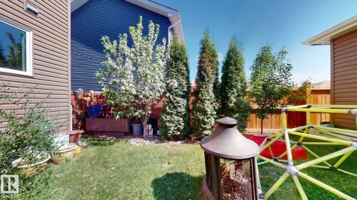 Expansive backyard featuring a manicured lawn, established trees, and perimeter fencing - 6824 Evans Wynd Nw, Edmonton, AB - Outdoor With Deck Patio Veranda