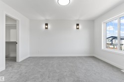 Spacious room with light gray carpet, white walls, and a large multi-pane window - 