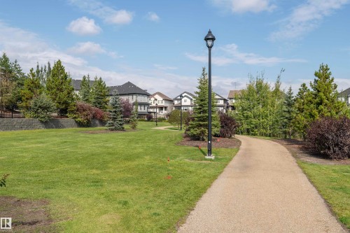 Paved walking path alongside a grassy expanse, bordered by mature evergreen trees and deciduous shrubs - #215 2590 Anderson Wy Sw, Edmonton, AB - Outdoor With View