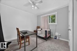 Room featuring neutral gray wall paint, white trim, a ceiling fan with light fixture, gray carpeting, and a window with white casing - 