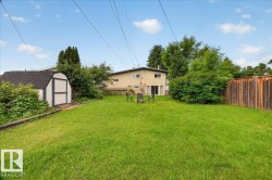 Expansive backyard featuring a green lawn, mature trees, and a storage shed with a dark shingle roof - 