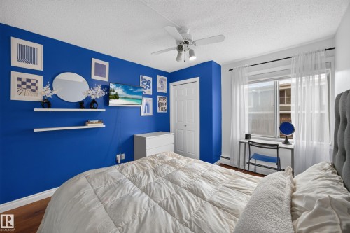 Bedroom featuring rich blue accent wall, wood-finish flooring, a ceiling fan with integrated lighting, and a double-panel closet with white bi-fold doors - #602 9725 106 St Nw, Edmonton, AB 