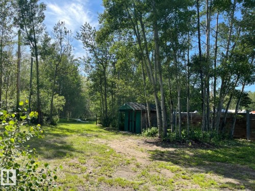 Wooded property with mature trees and a rustic storage shed - 4701 34 St., Rural Wetaskiwin County, AB 
